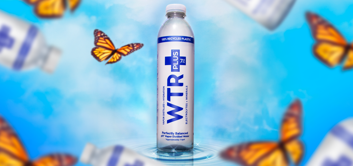 WTR Plus